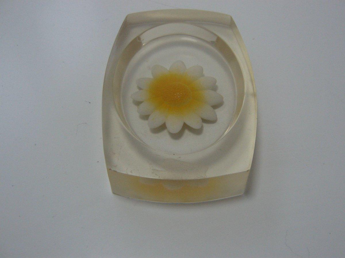 Portasapone margherita bianca