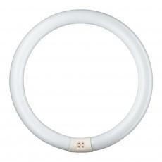 Neon circolare 40 w