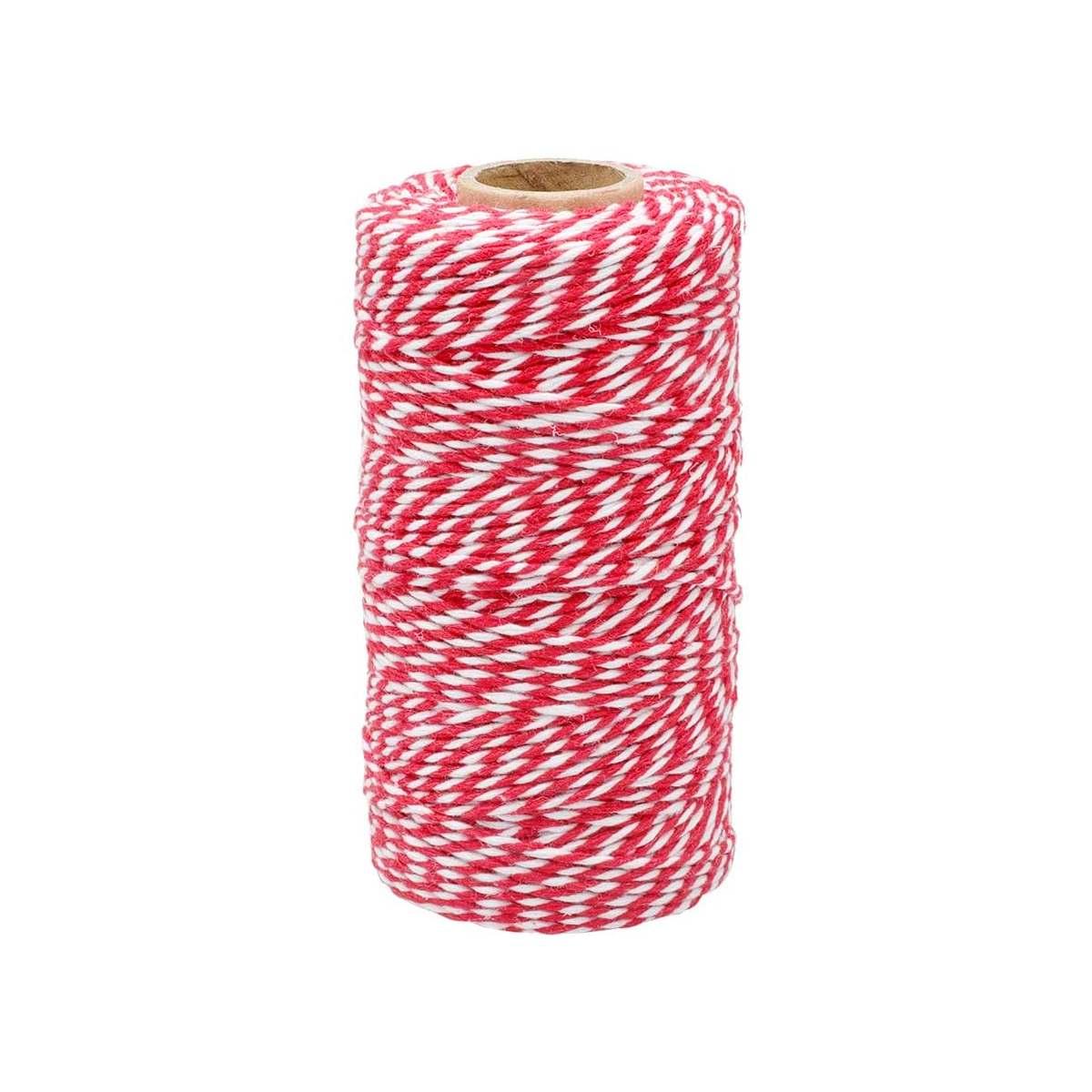 Lenza bianca/rossa mt 100